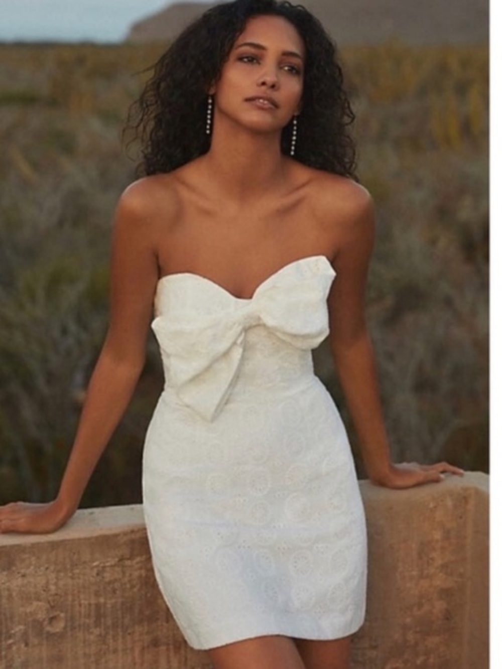 Anthropologie Hutch White Eyelet Bow Tie Strapless Mini Dress Size 10